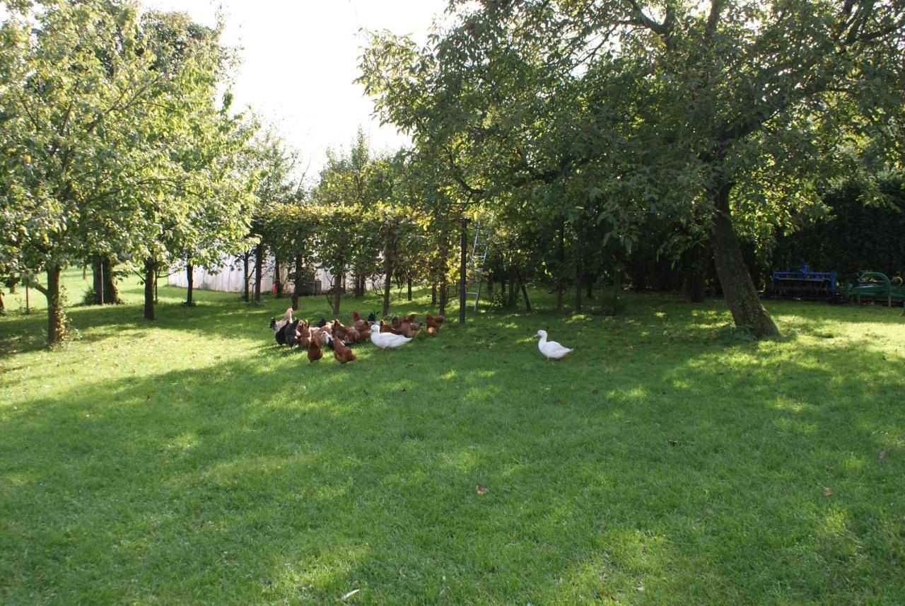 Отель Agrogosia Czajowice Экстерьер фото