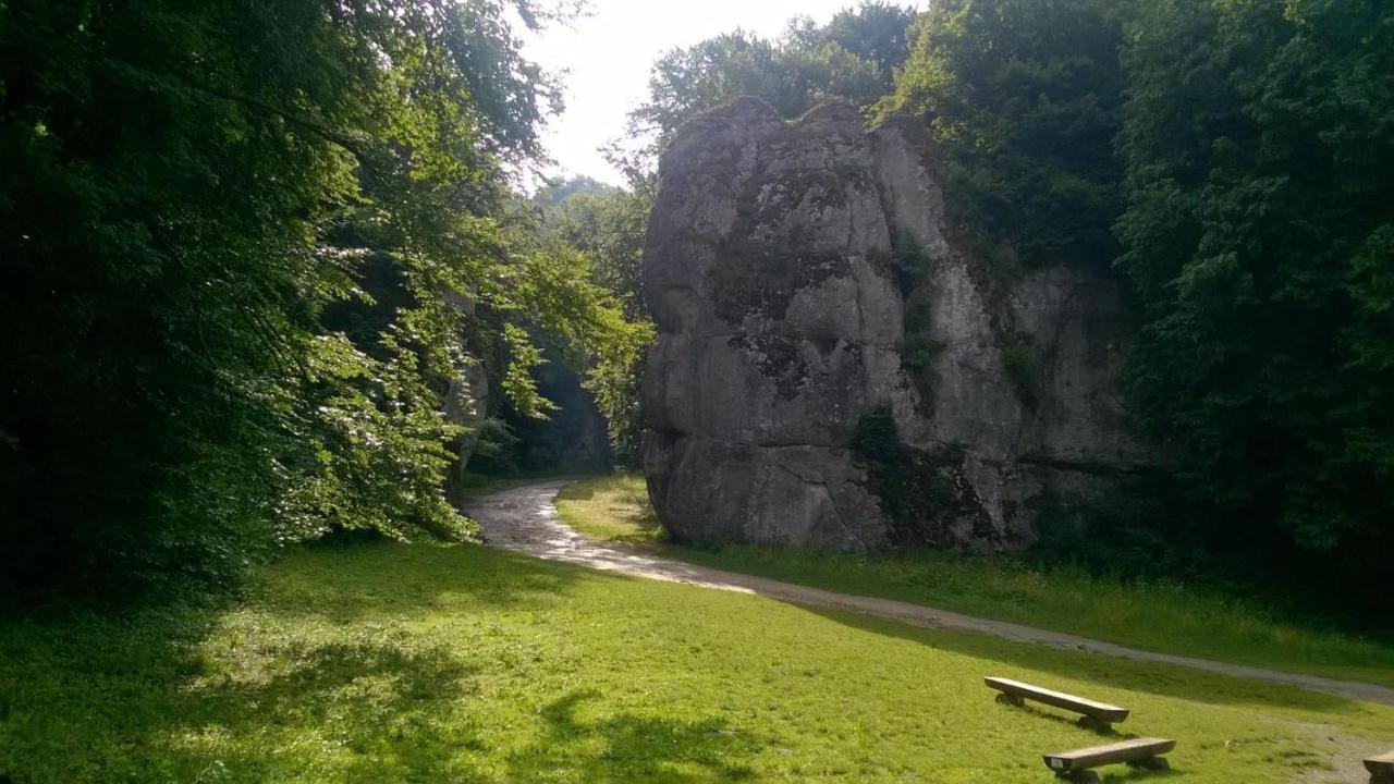 Отель Agrogosia Czajowice Экстерьер фото