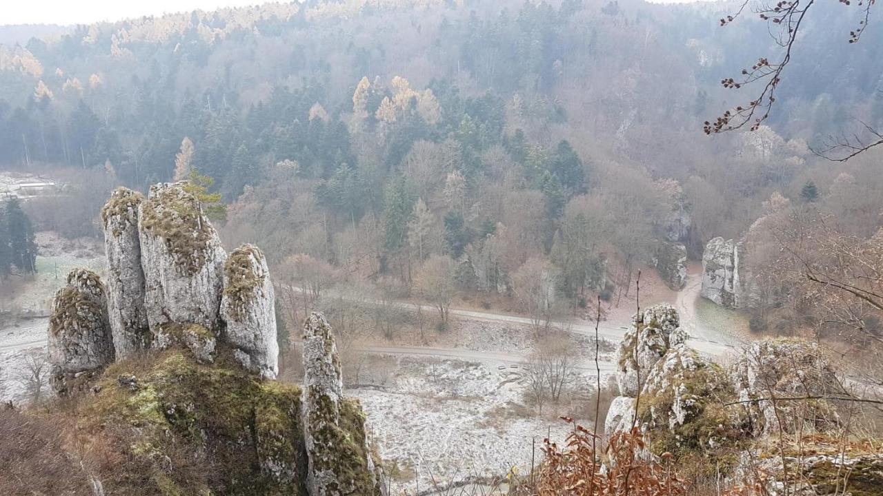 Отель Agrogosia Czajowice Экстерьер фото