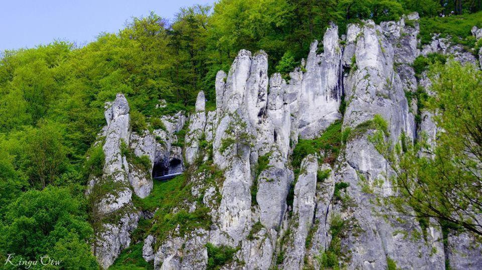 Отель Agrogosia Czajowice Экстерьер фото