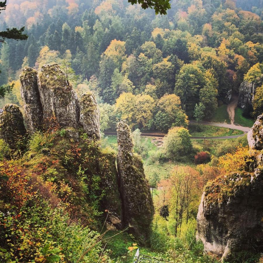 Отель Agrogosia Czajowice Экстерьер фото