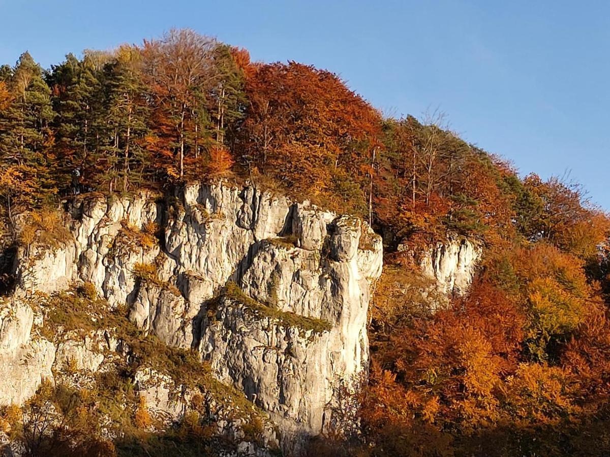 Отель Agrogosia Czajowice Экстерьер фото