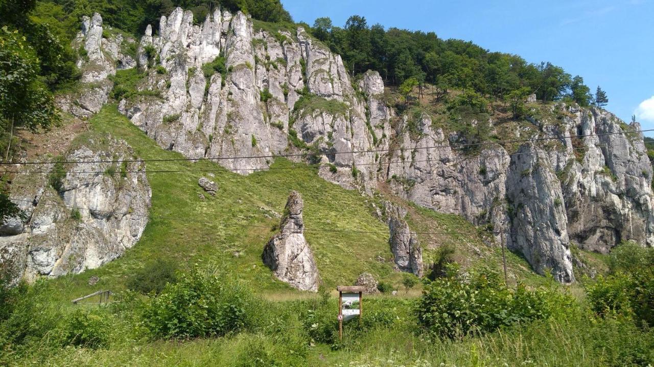 Отель Agrogosia Czajowice Экстерьер фото